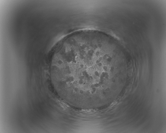 X0000062931255200601271823