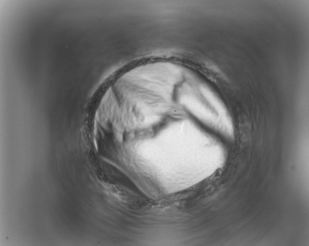 X0000062931256200601271823