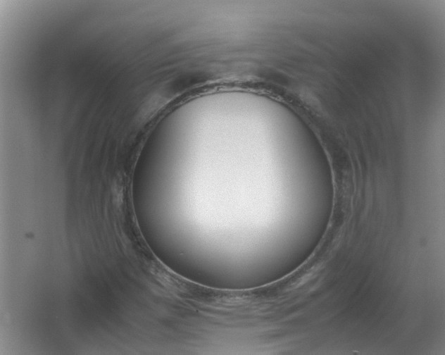 X0000062931257200601271823