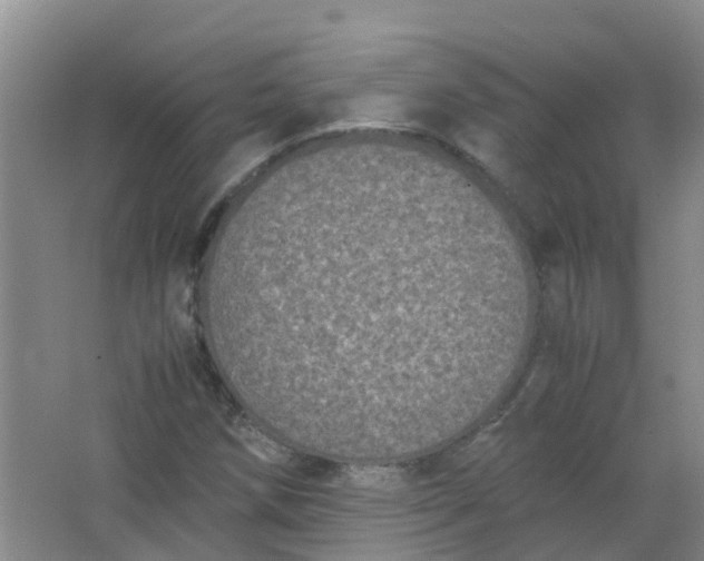 X0000062931258200601271823