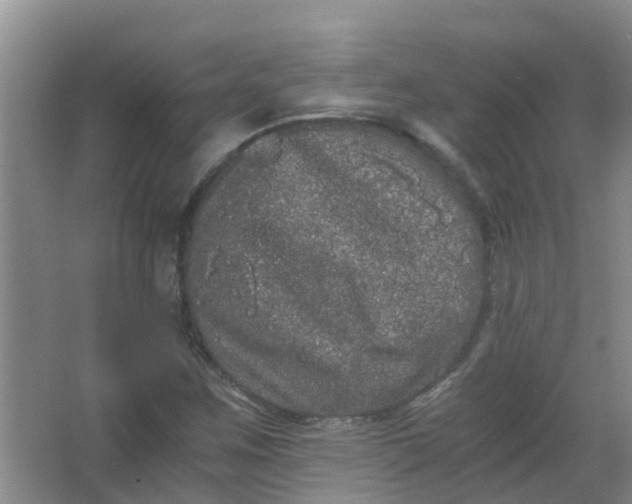 X0000062931259200601271823