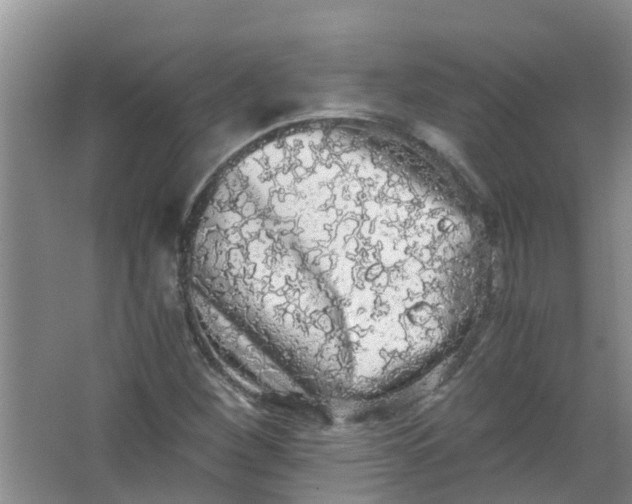 X0000062931260200601271823