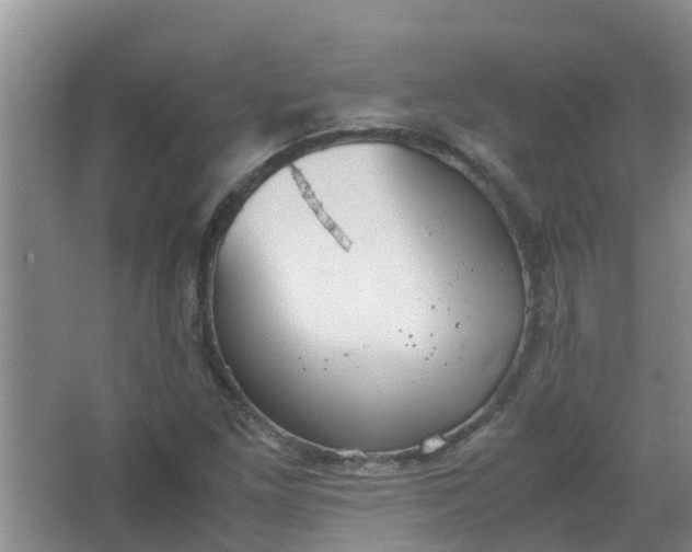 X0000062931261200601271823