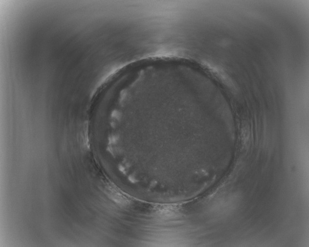 X0000062931262200601271823