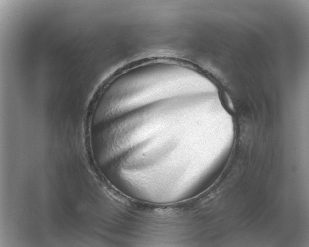 X0000062931264200601271823