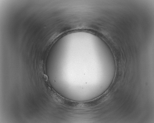 X0000062931265200601271823