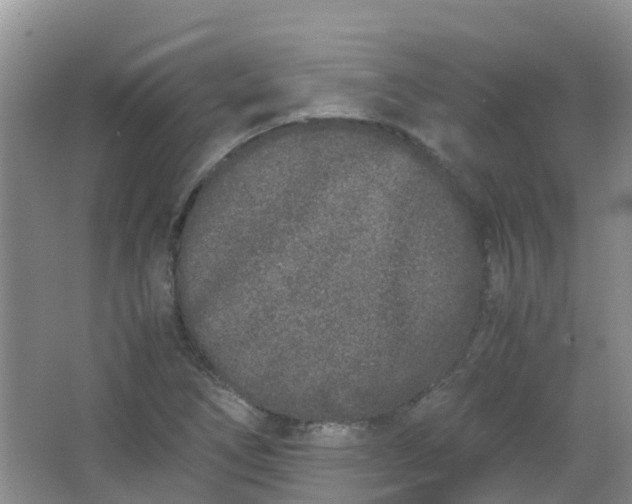 X0000062931266200601271822