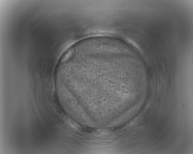 X0000062931267200601271822