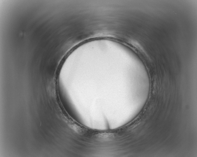 X0000062931268200601271822