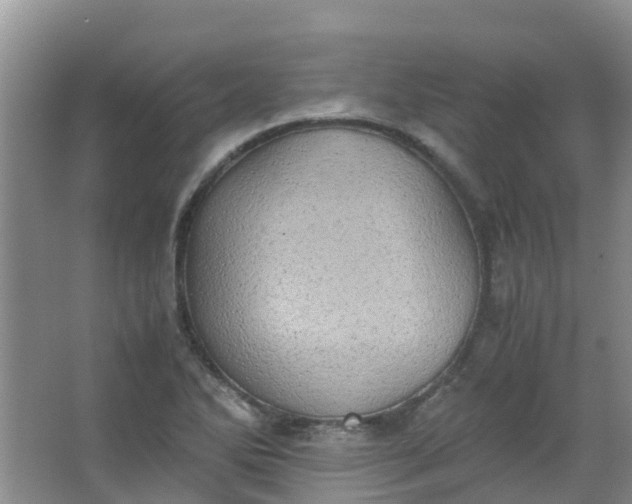 X0000062931270200601271822