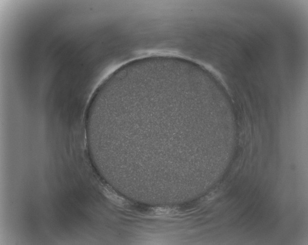 X0000062931271200601271822