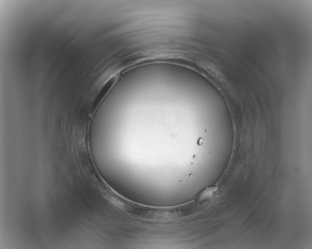 X0000062931273200601271822