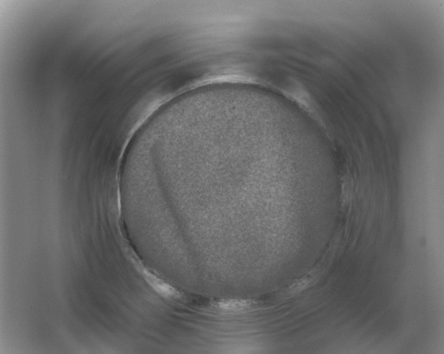 X0000062931274200601271822