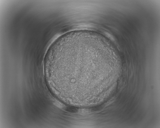 X0000062931275200601271822