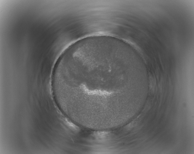 X0000062931278200601271822