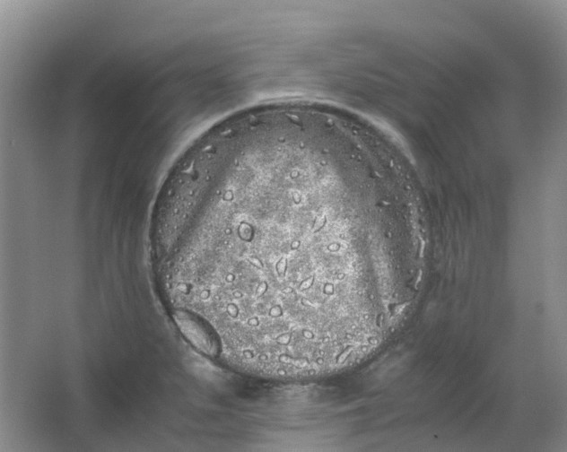 X0000062931279200601271822