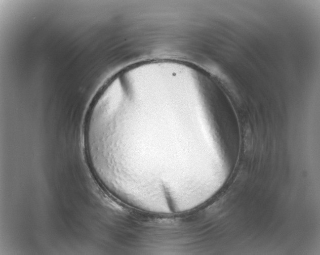 X0000062931280200601271822