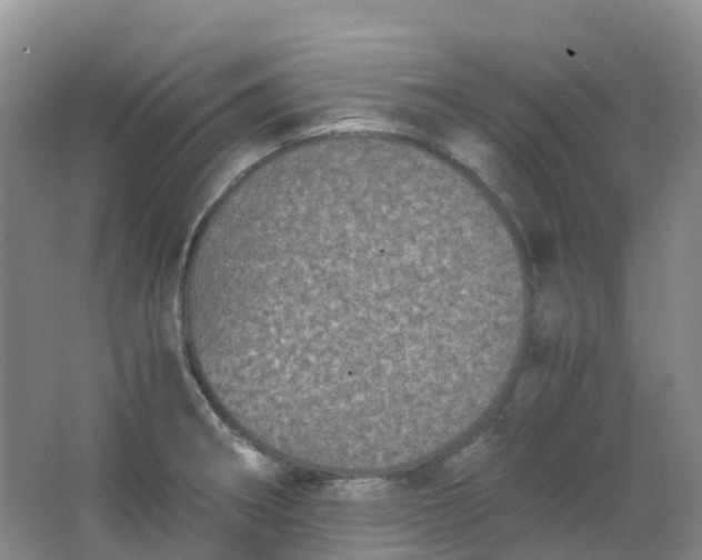 X0000062931282200601271822