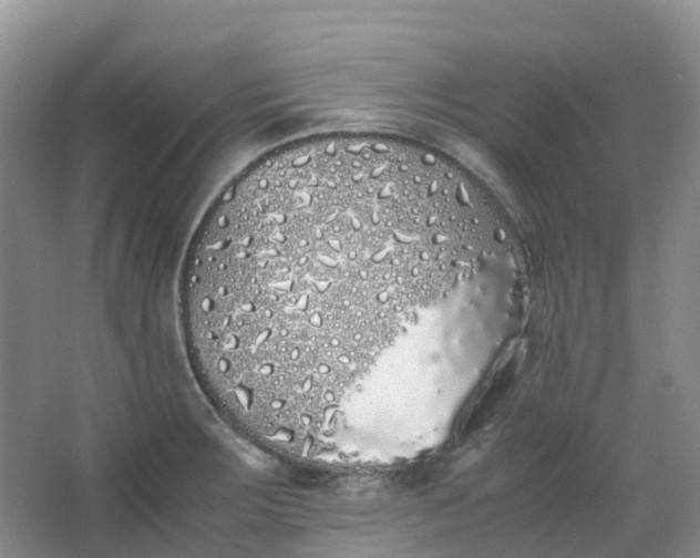 X0000062931283200601271822