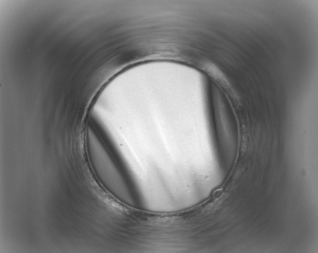 X0000062931284200601271822