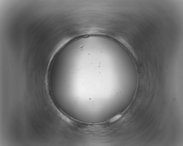 X0000062931285200601271822