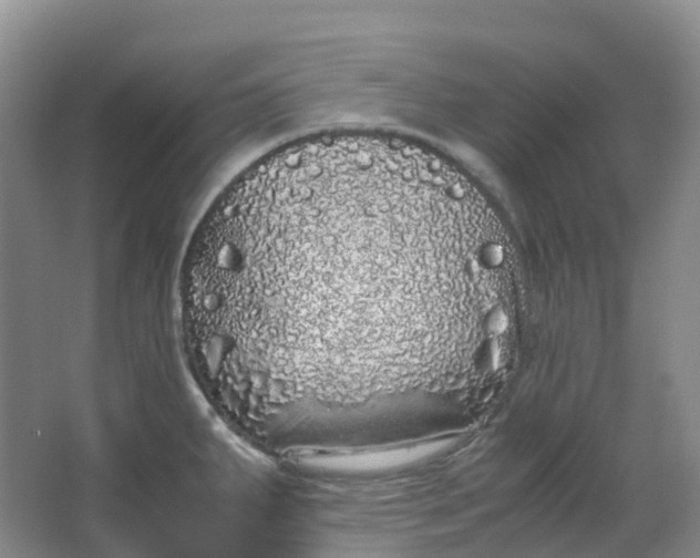 X0000062931287200601271822