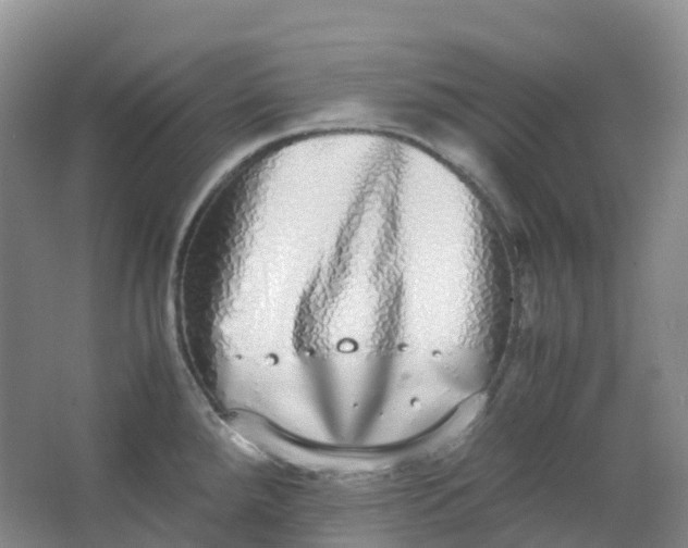 X0000062931288200601271822