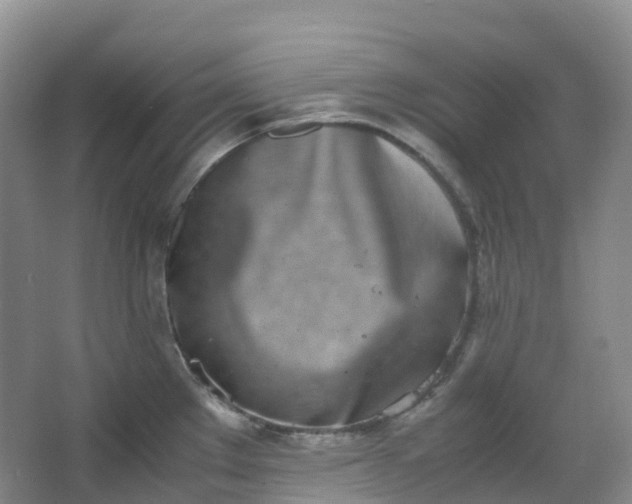 X0000062931289200601271822