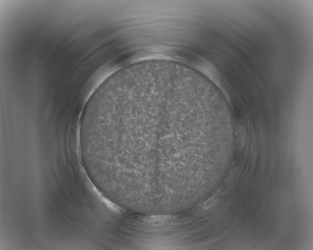 X0000062931290200601271822