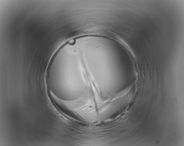 X0000062931291200601271822