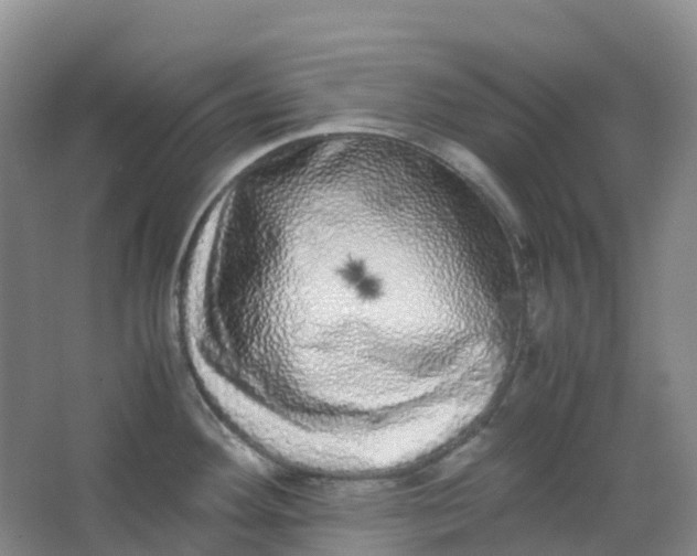 X0000062931292200601271822