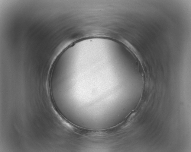 X0000062931293200601271822