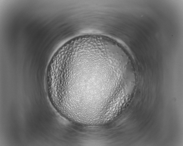 X0000062931295200601271822