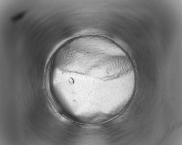 X0000062931296200601271822