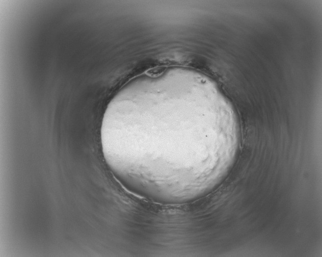 X0000062931297200601271821