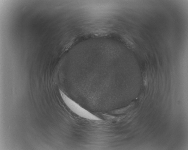 X0000062931298200601271821