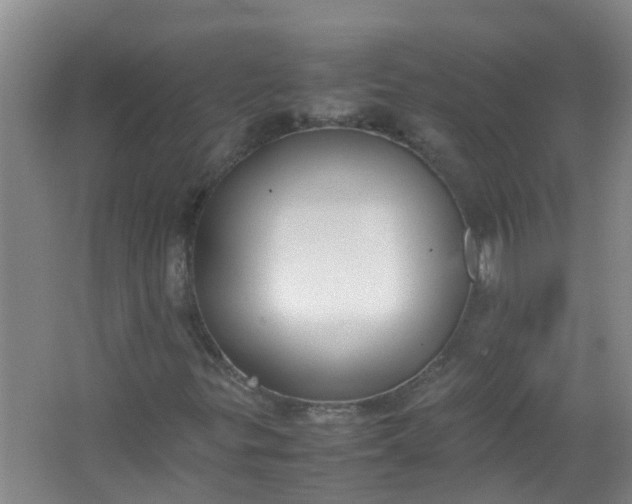 X0000062931299200601271821