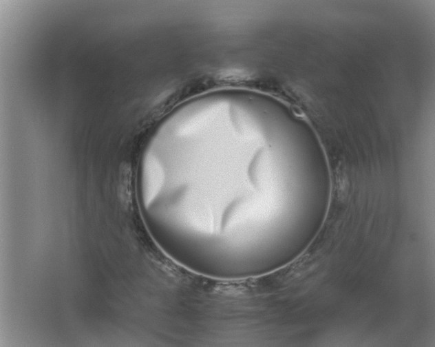 X0000062931301200601271821