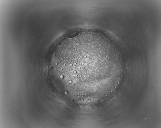 X0000062931302200601271821