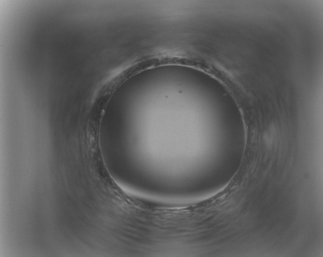 X0000062931303200601271821