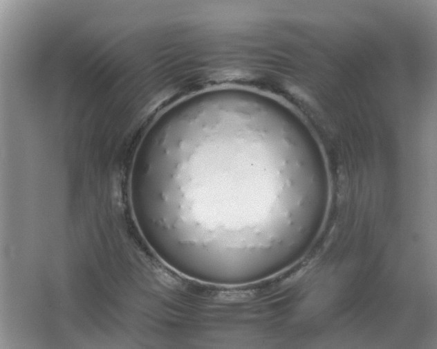 X0000062931305200601271821