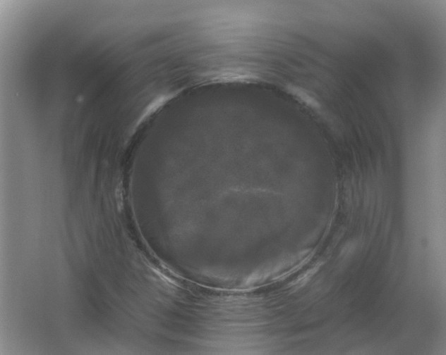 X0000062931306200601271821