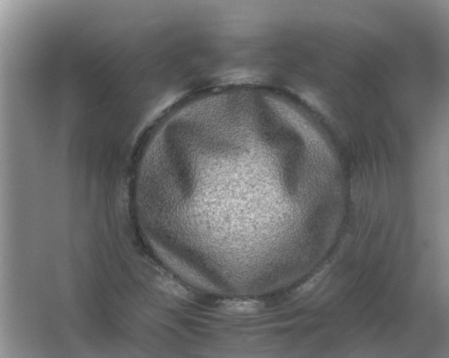 X0000062931309200601271821