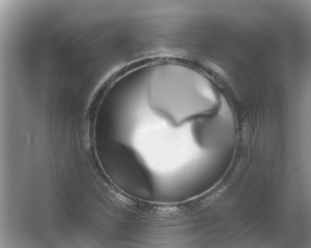 X0000062931310200601271821