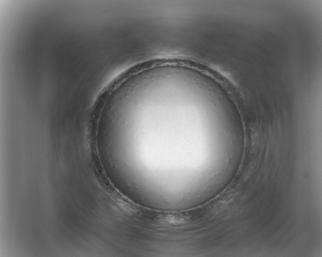 X0000062931311200601271821