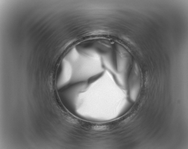 X0000062931313200601271821