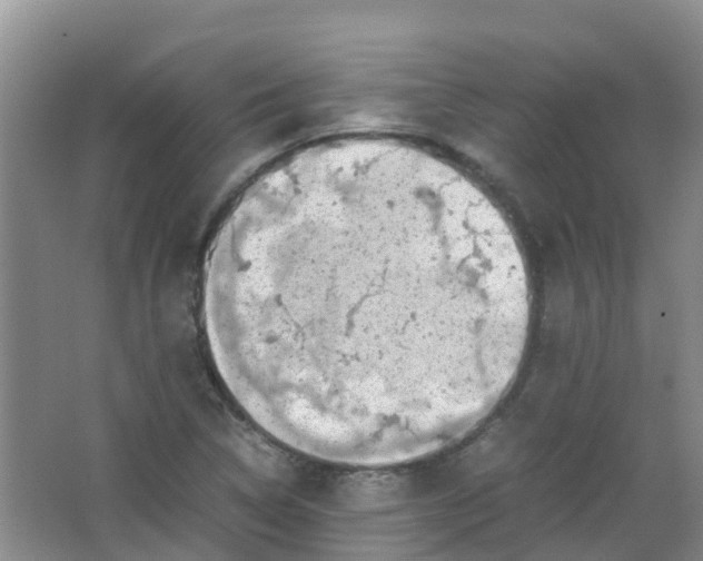 X0000062931314200601271821