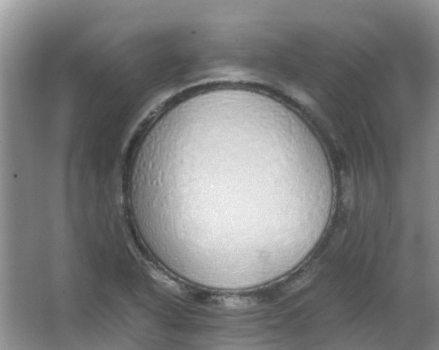 X0000062931318200601271822