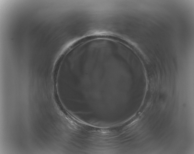 X0000062931319200601271822