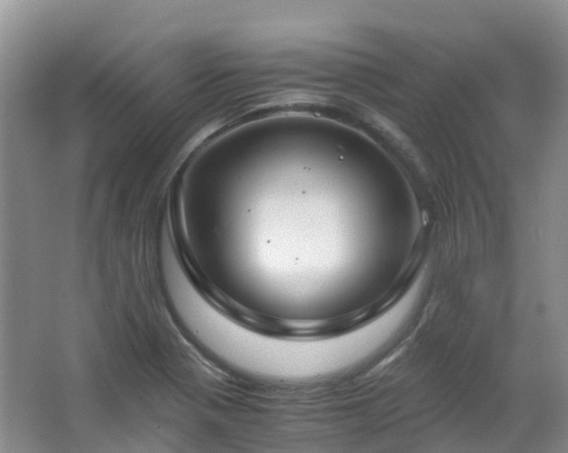 X0000062931321200601271822